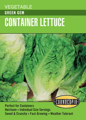 'Green Gem' Container Lettuce