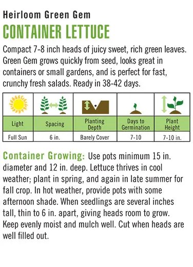 'Green Gem' Container Lettuce